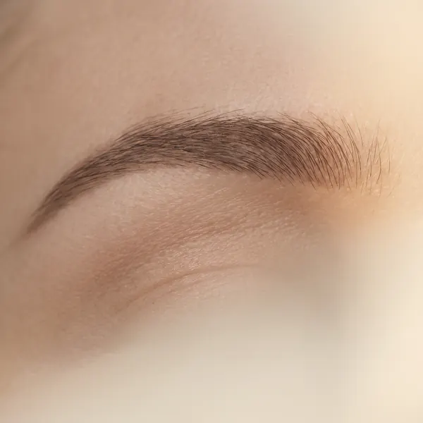 Eyebrow after professional shaping and tinting with a soft defined arch